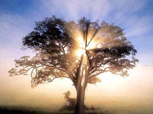 What is Higher Guidance Life Coaching?